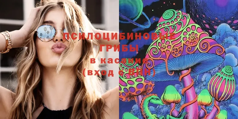 Галлюциногенные грибы Magic Shrooms  что такое   Аша 